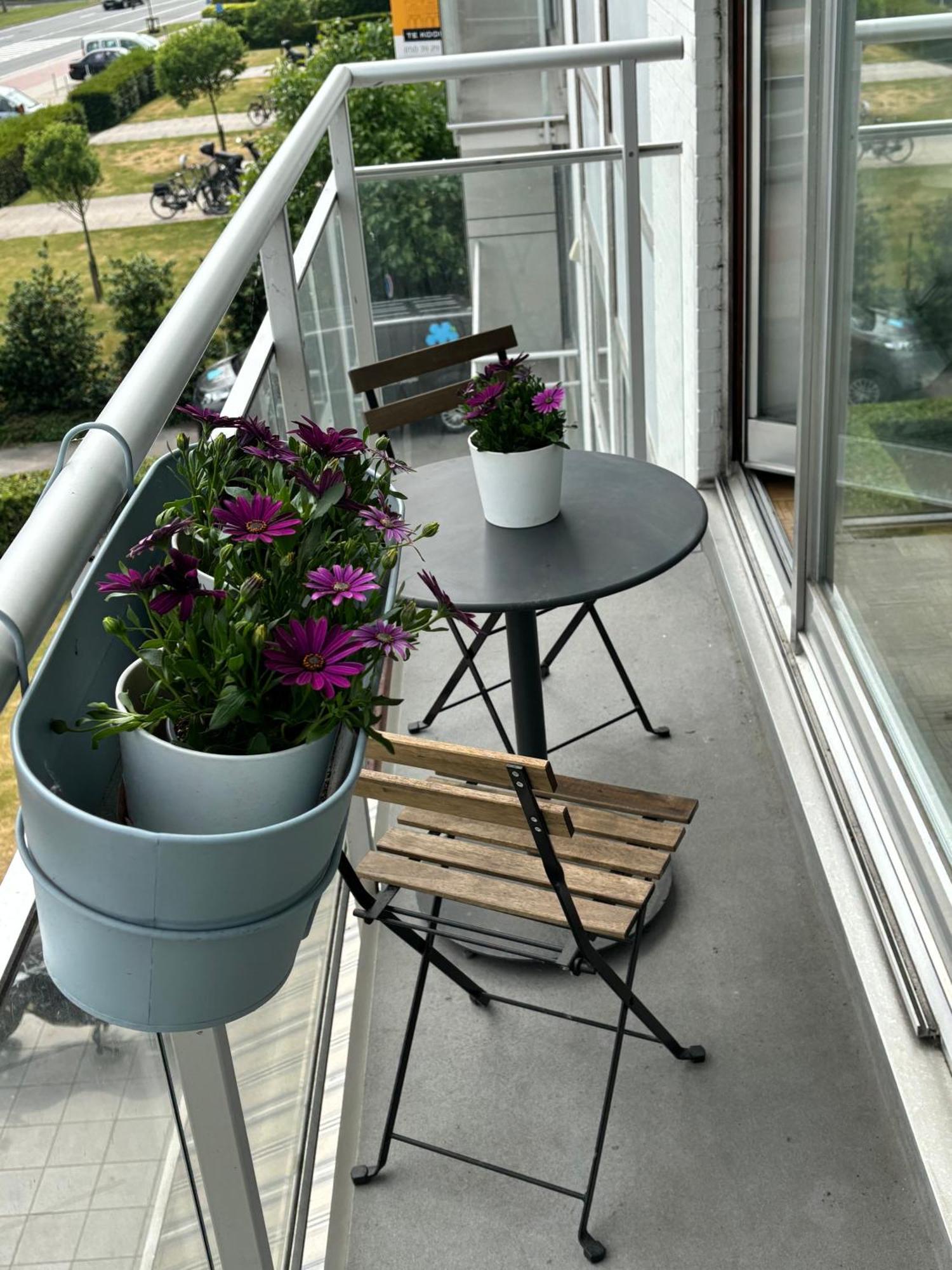 Apartamento Wonderful Family In *